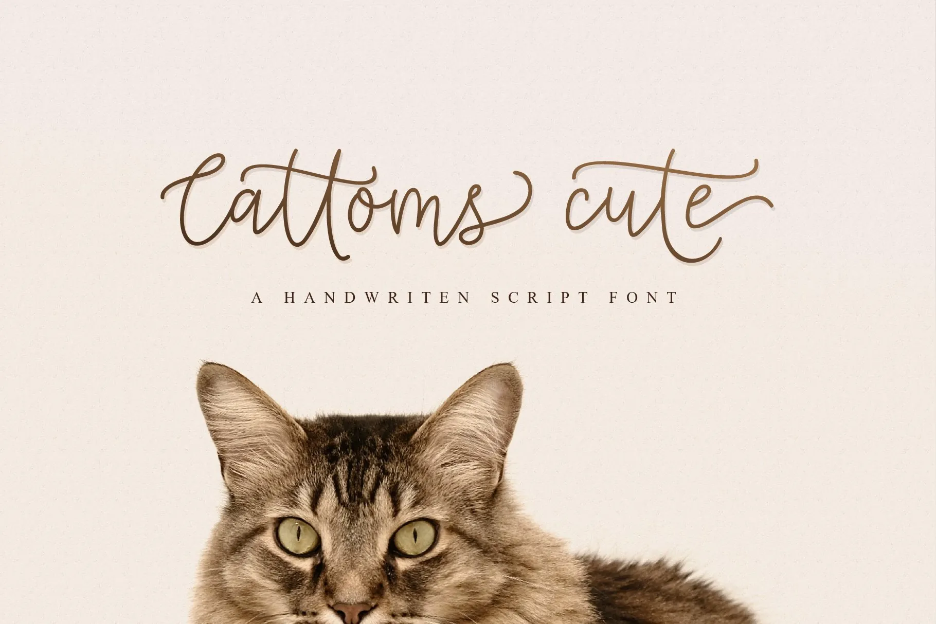 Cattoms Cute handwritten font cover