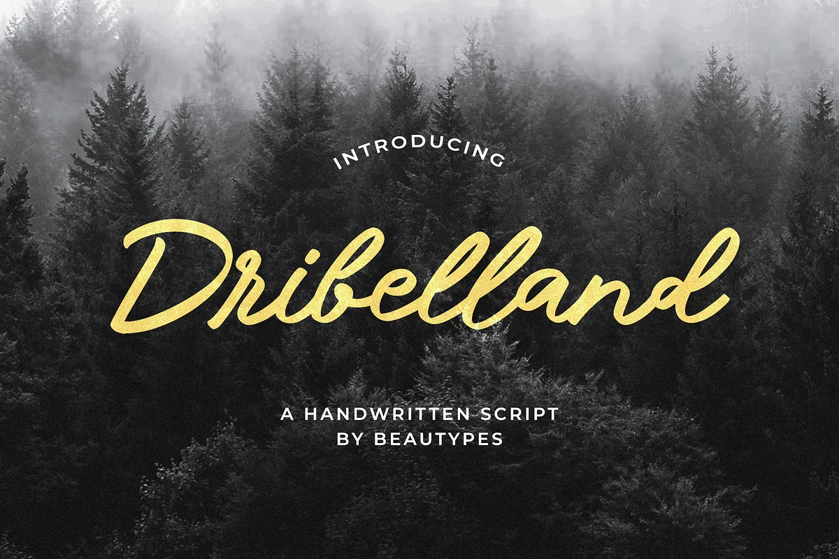 Dribelland handwritten font cover