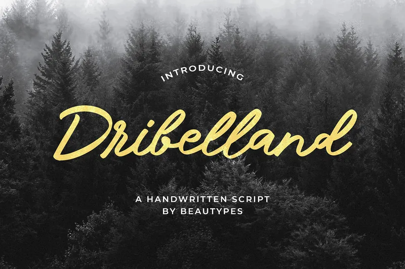 Dribelland Handwritten font