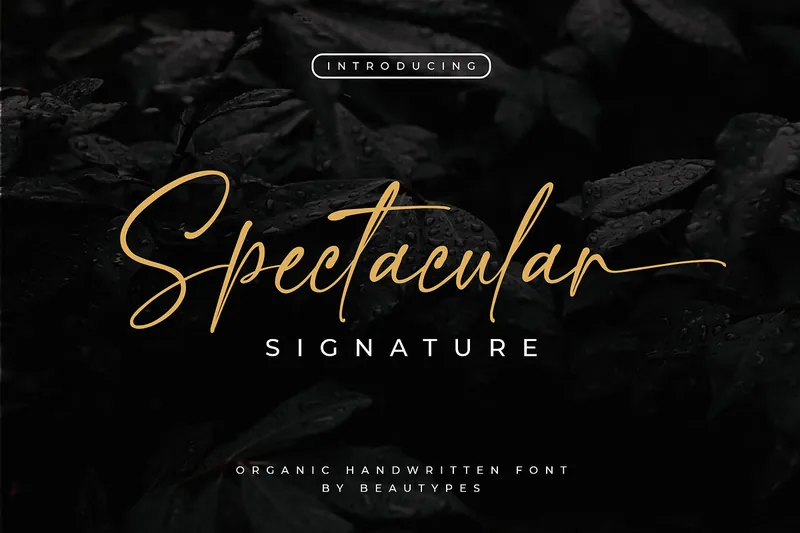Spectacular Signature Handwritten font
